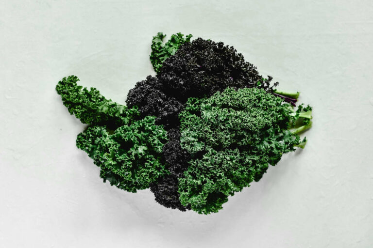 Foglie di cavolo nero