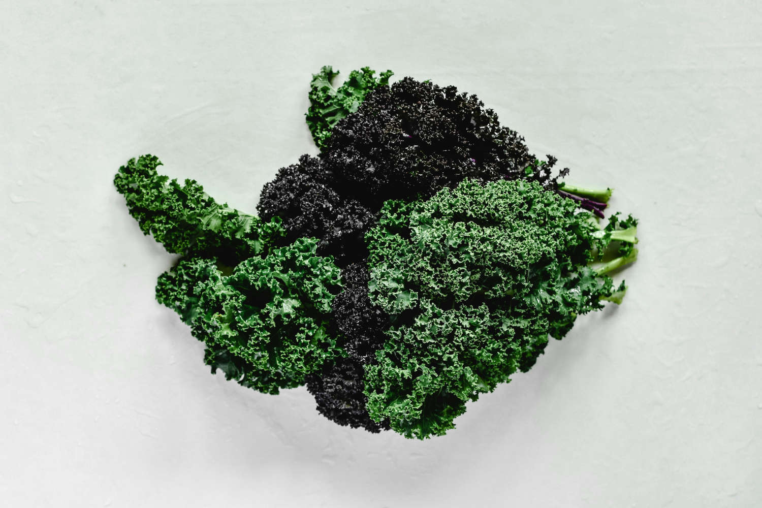 Foglie di cavolo nero