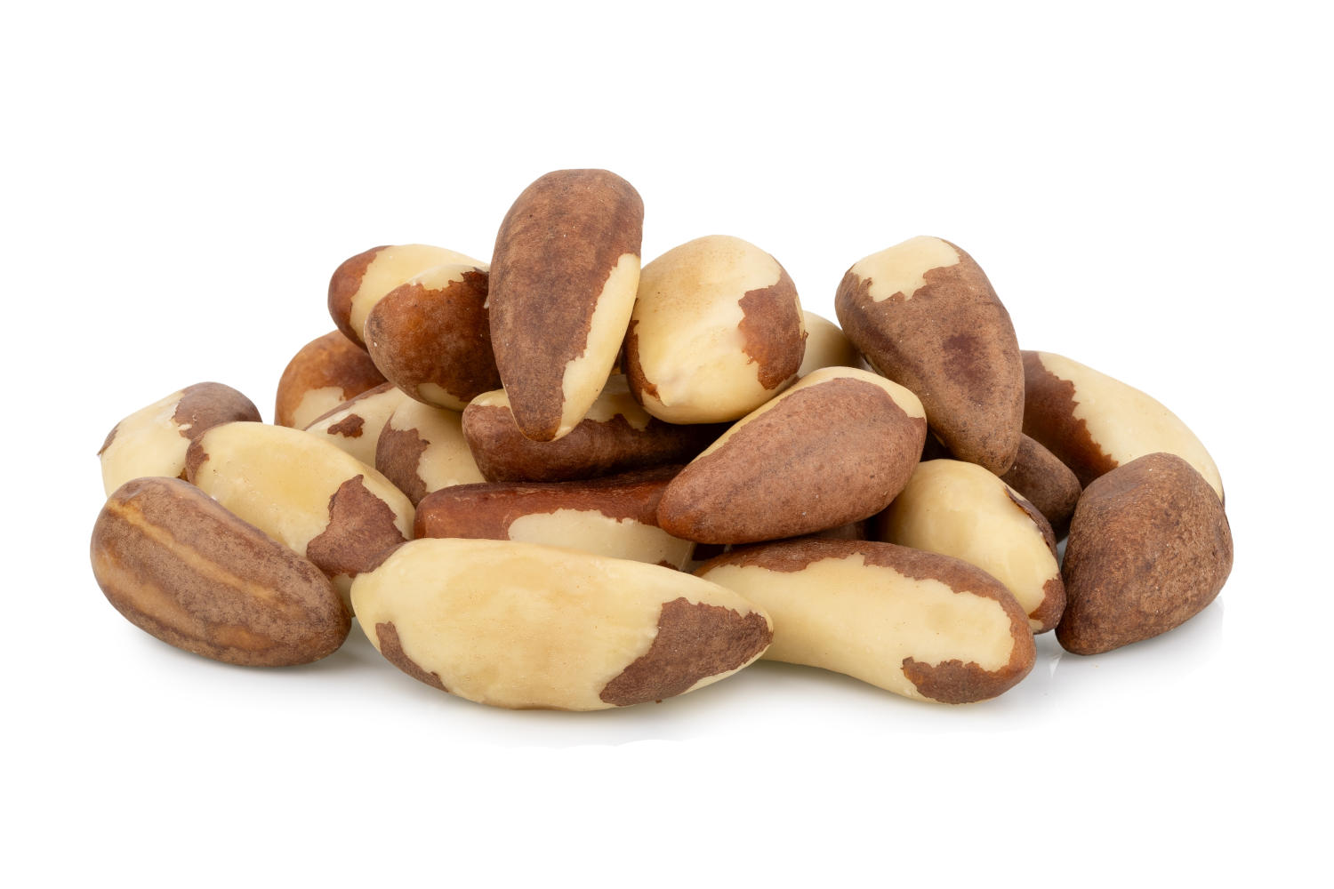 Noci brasiliane