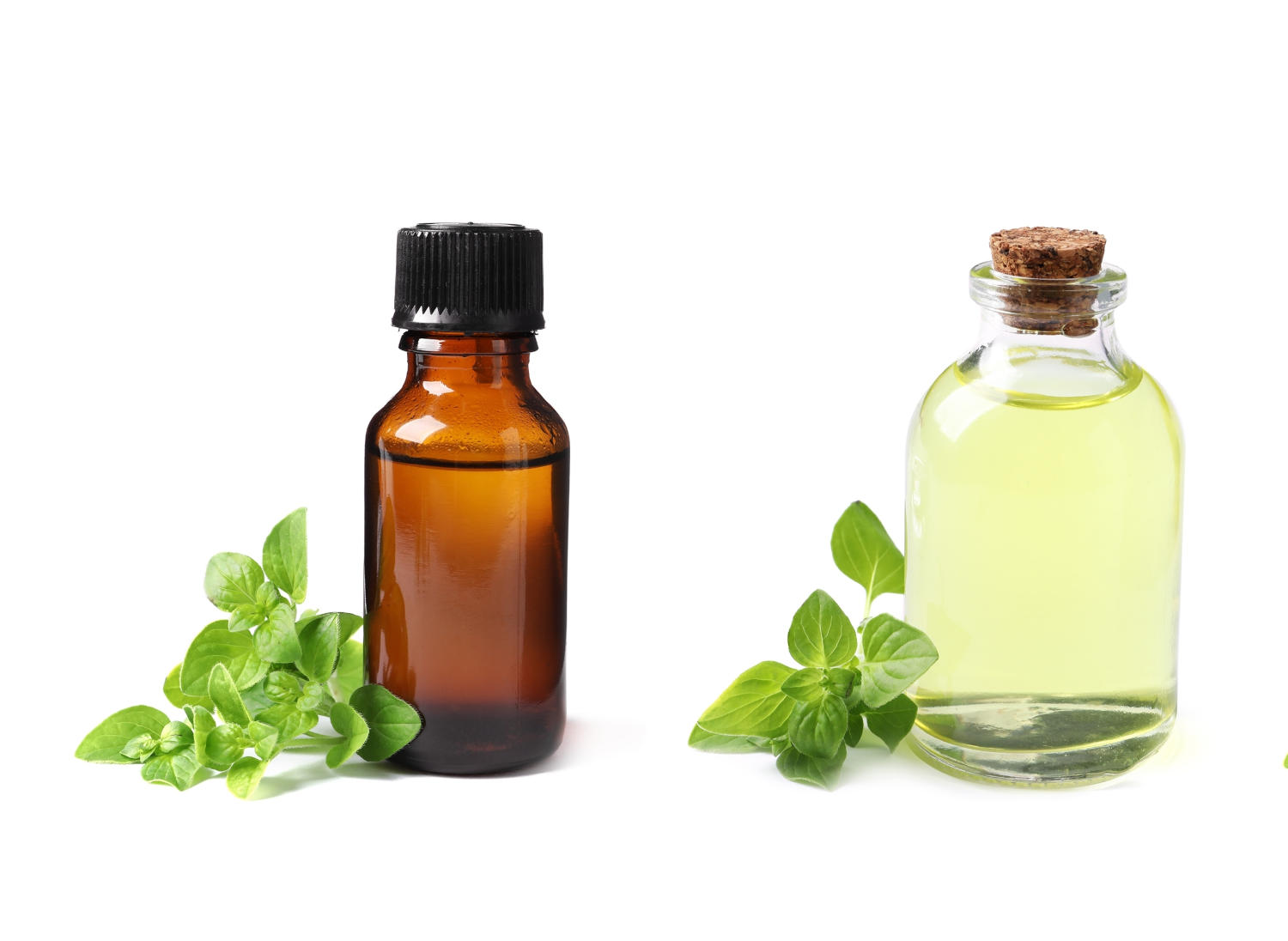 Olio essenziale di origano