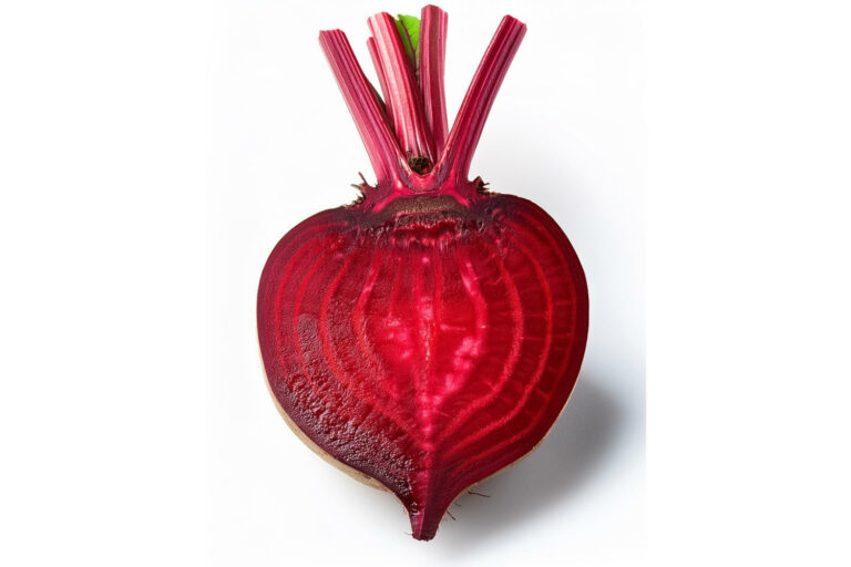 Barbabietola