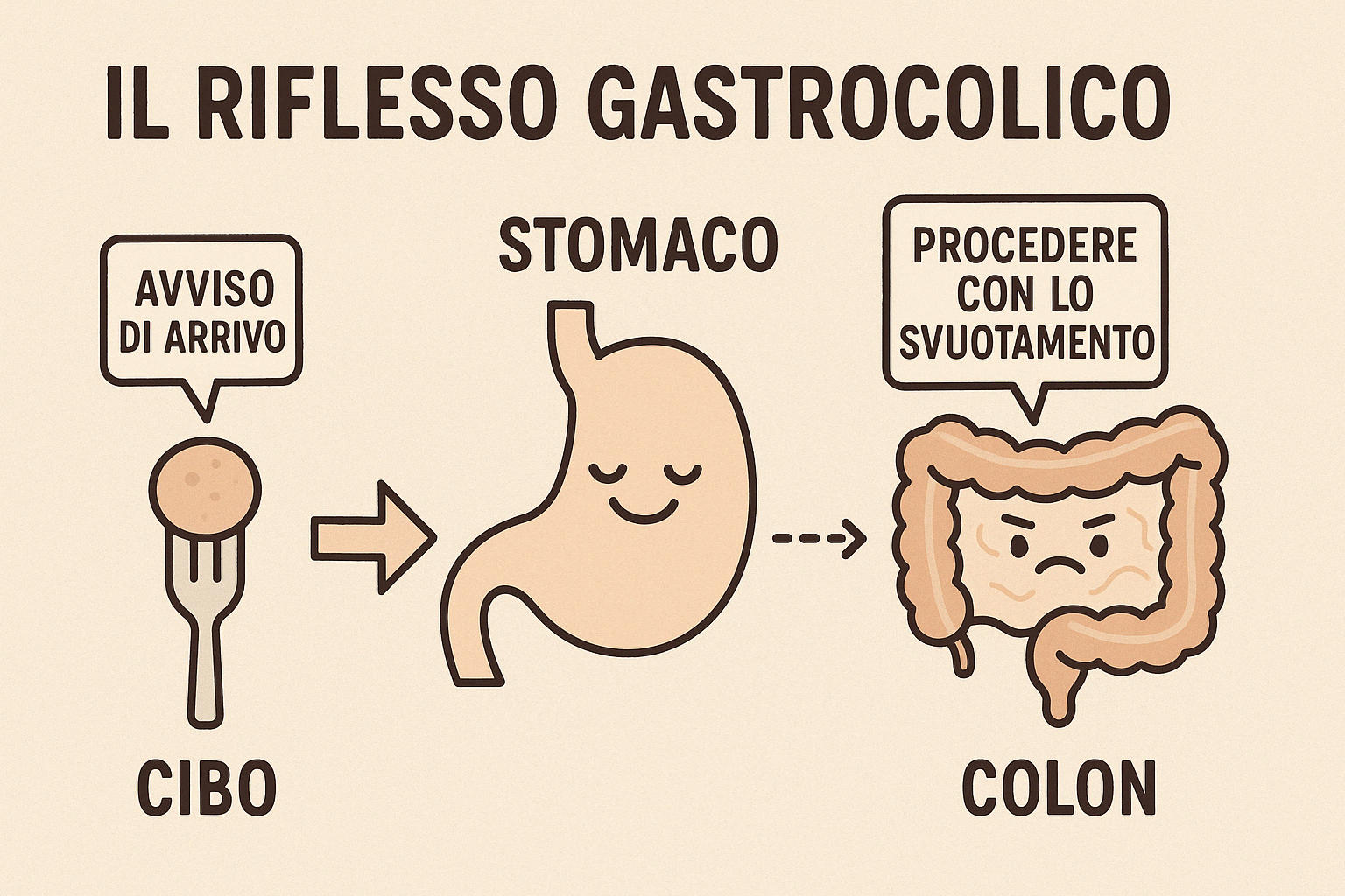 Infografica riassuntiva del riflesso gastrocolico