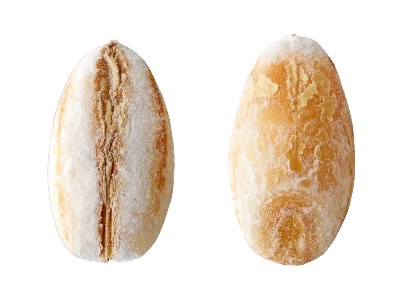 Chicco di orzo