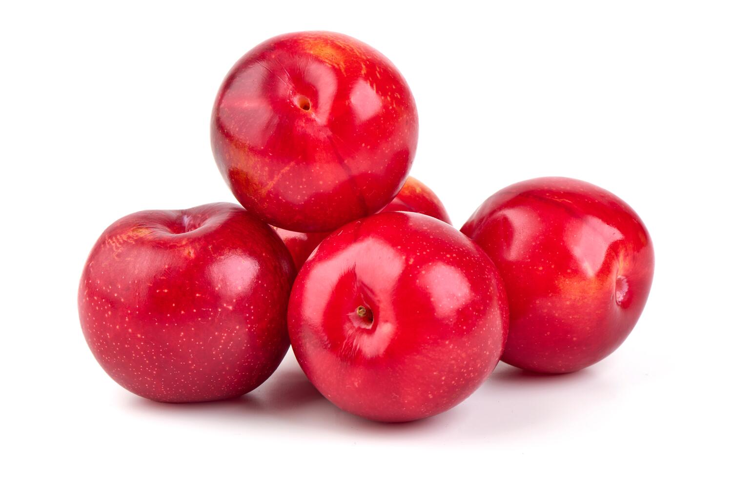 Prugne rosse