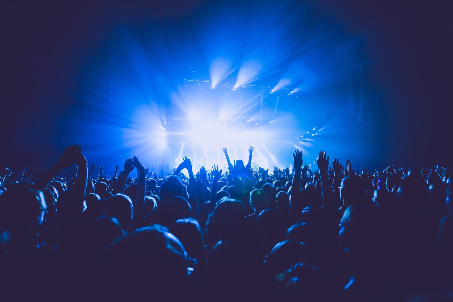Folla a un concerto