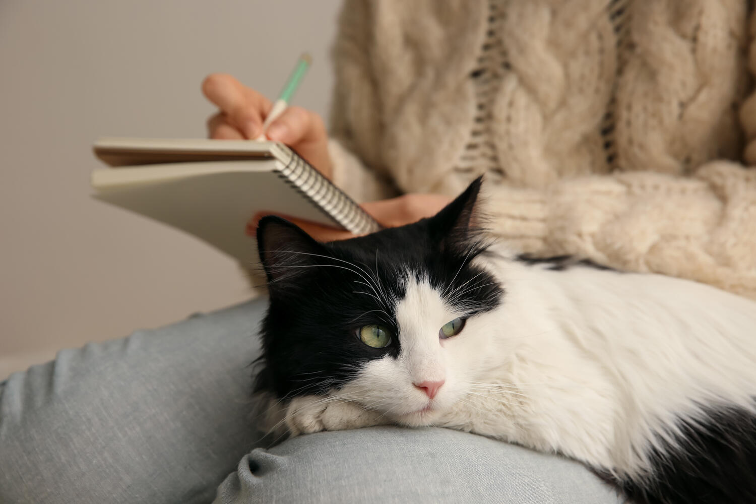 Ragazza che annota qualcosa con il gatto in braccio