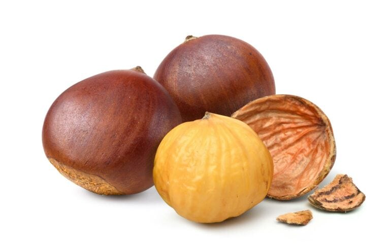 Castagne su sfondo bianco