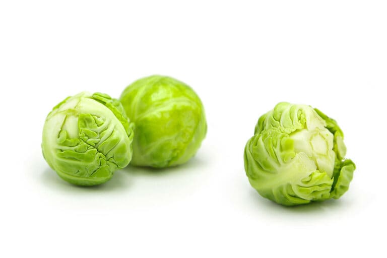 Cavoletti di Bruxelles su sfondo bianco