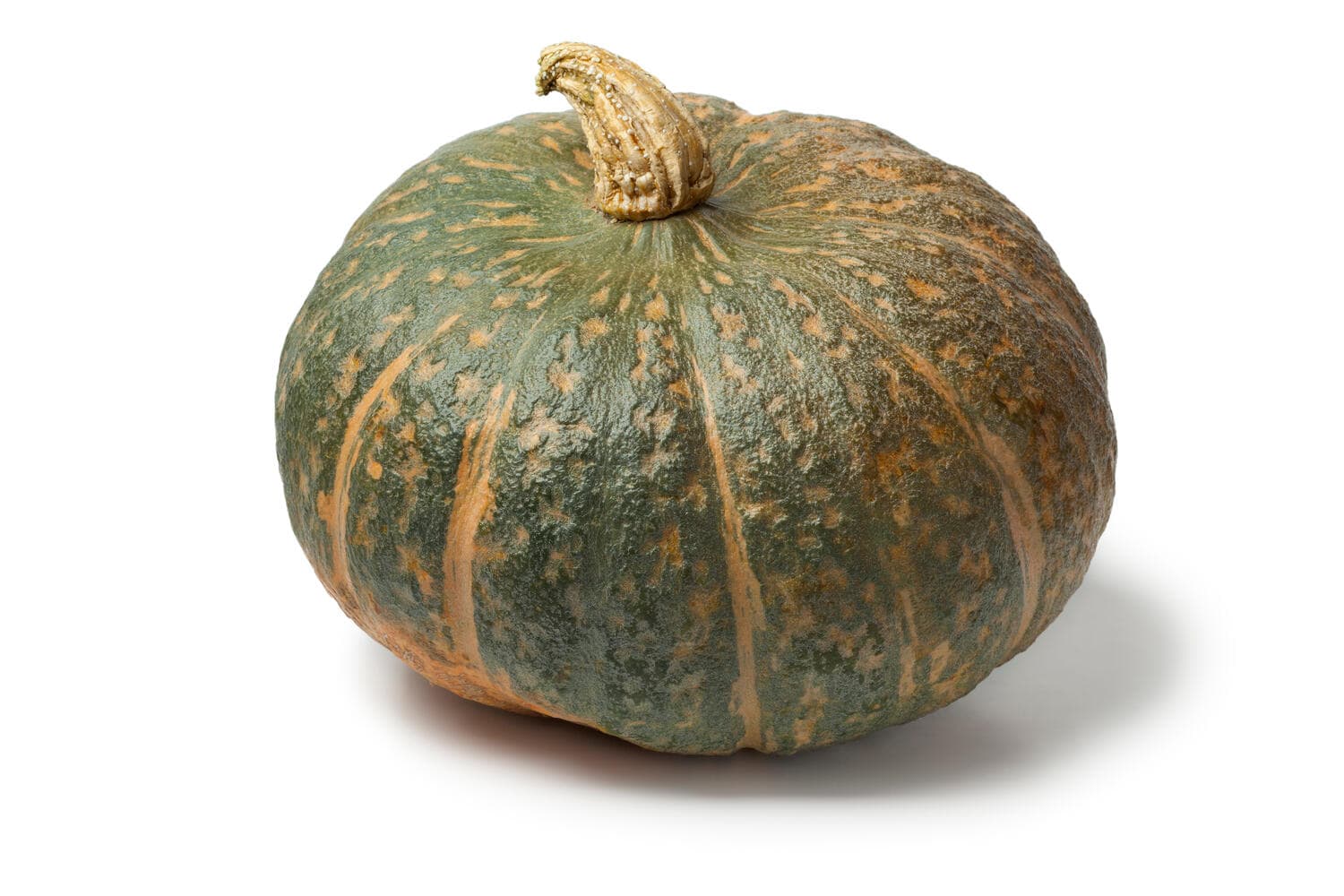 Zucca delica