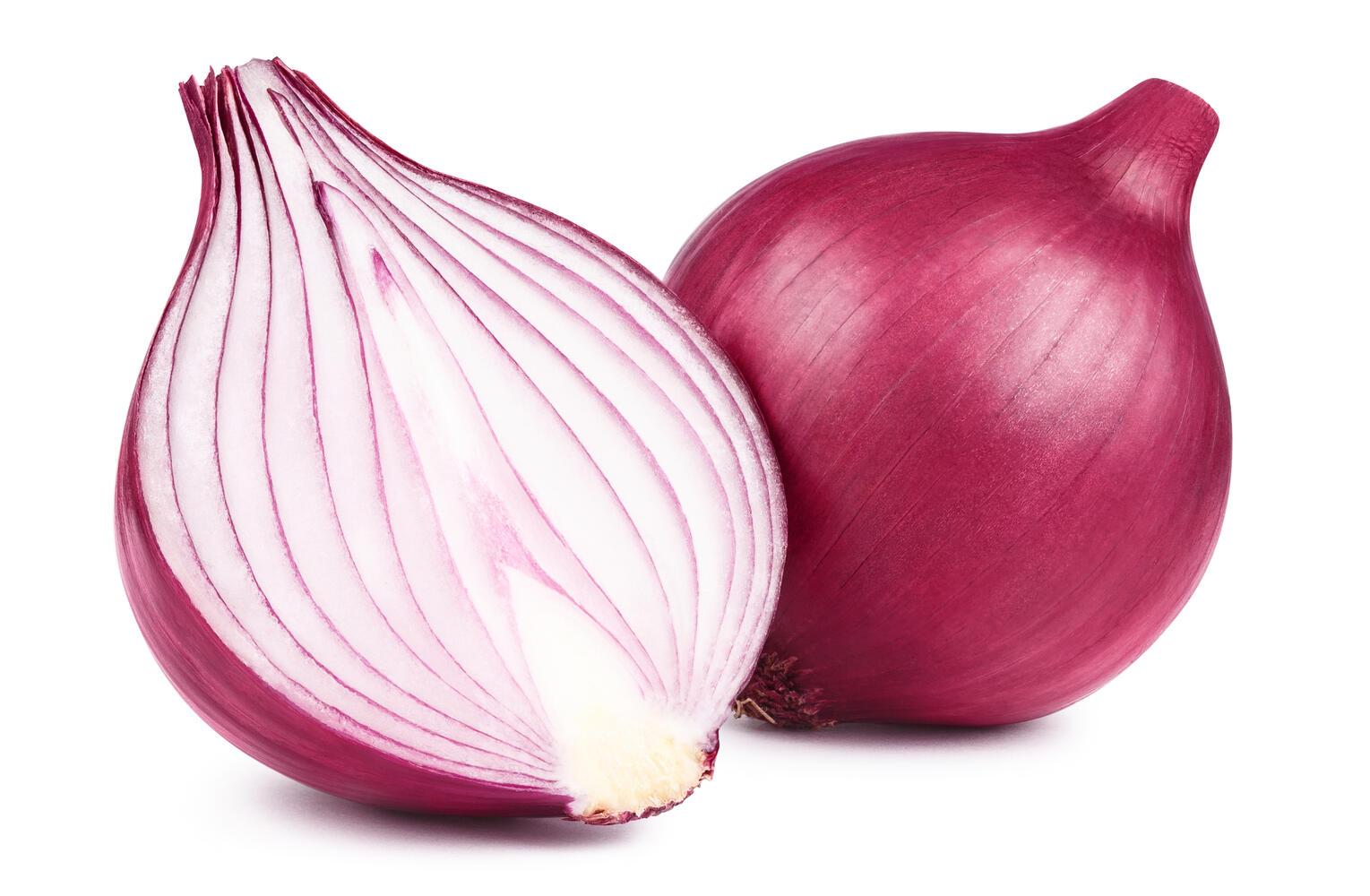 Cipolla rossa