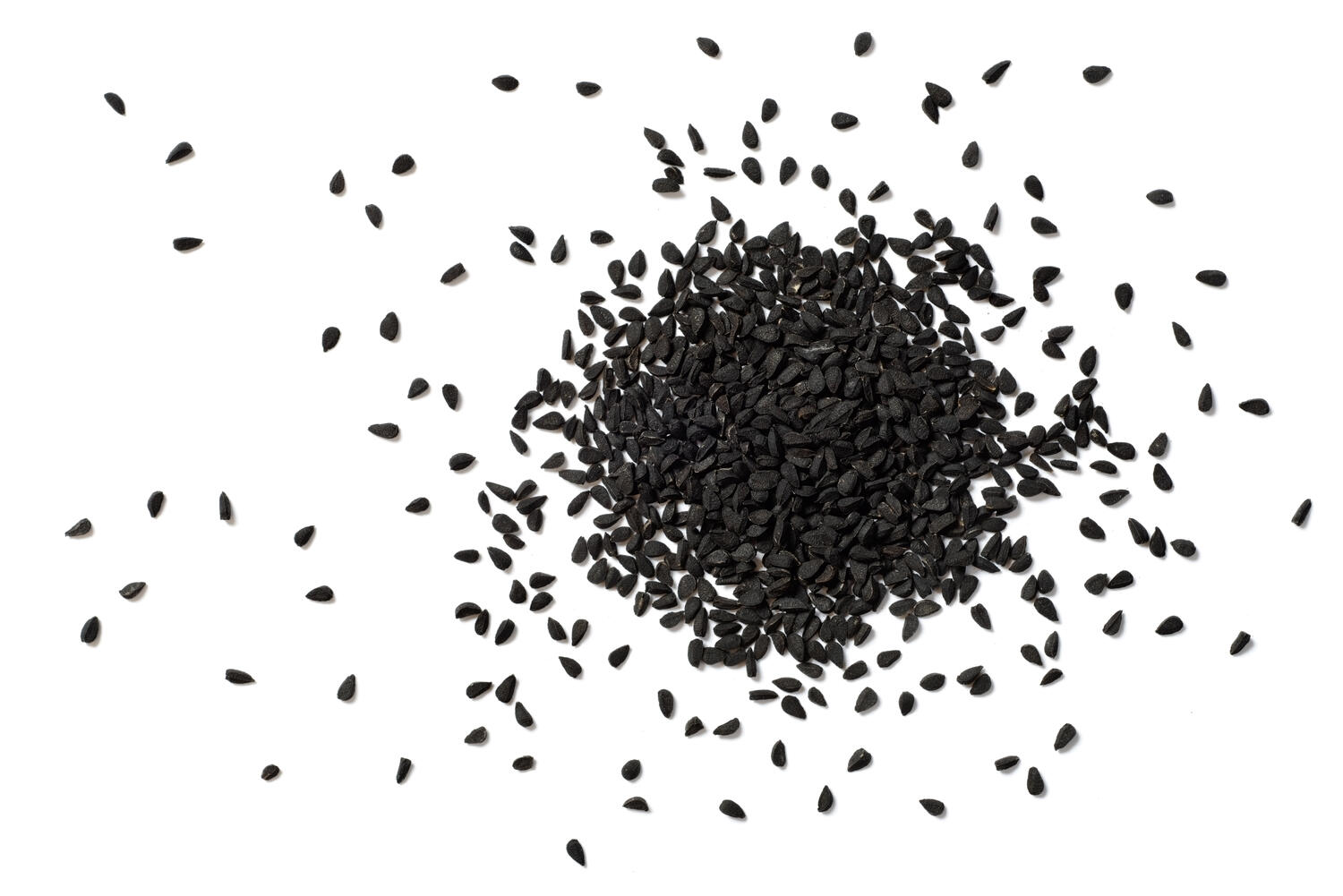 Cumino nero su sfondo bianco