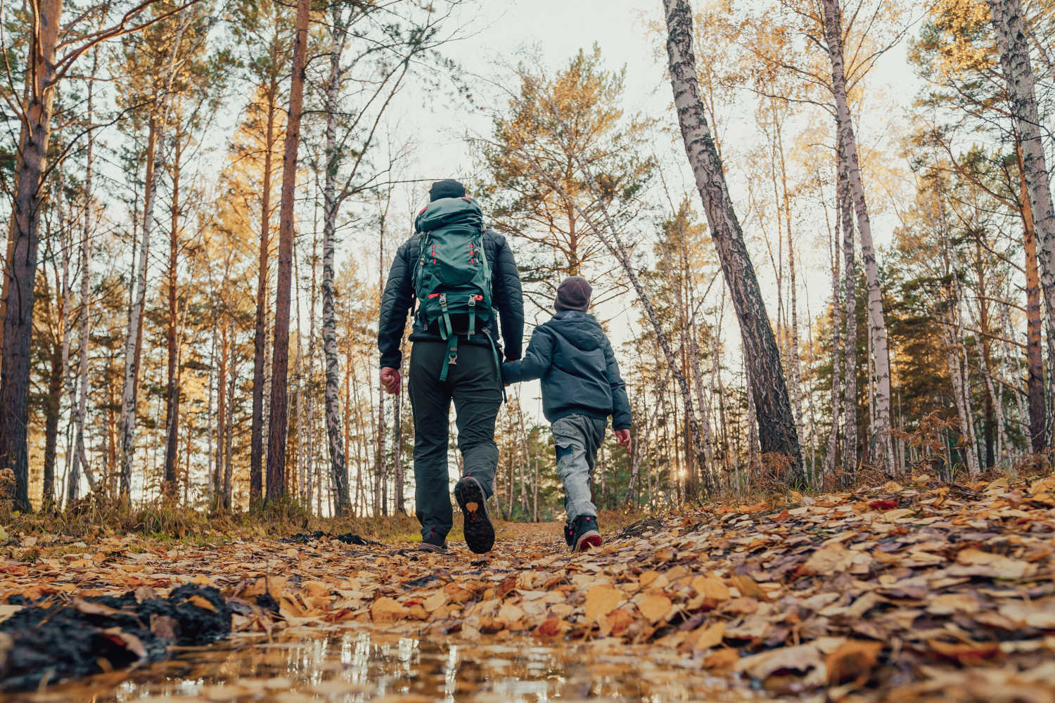 Padre e figlio camminano nel bosco