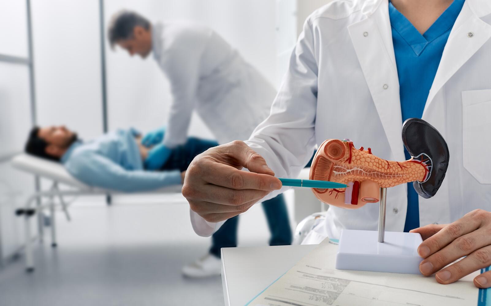 Medico che visita un paziente sullo sfondo, in primo piano un altro medico indica un modello di pancreas
