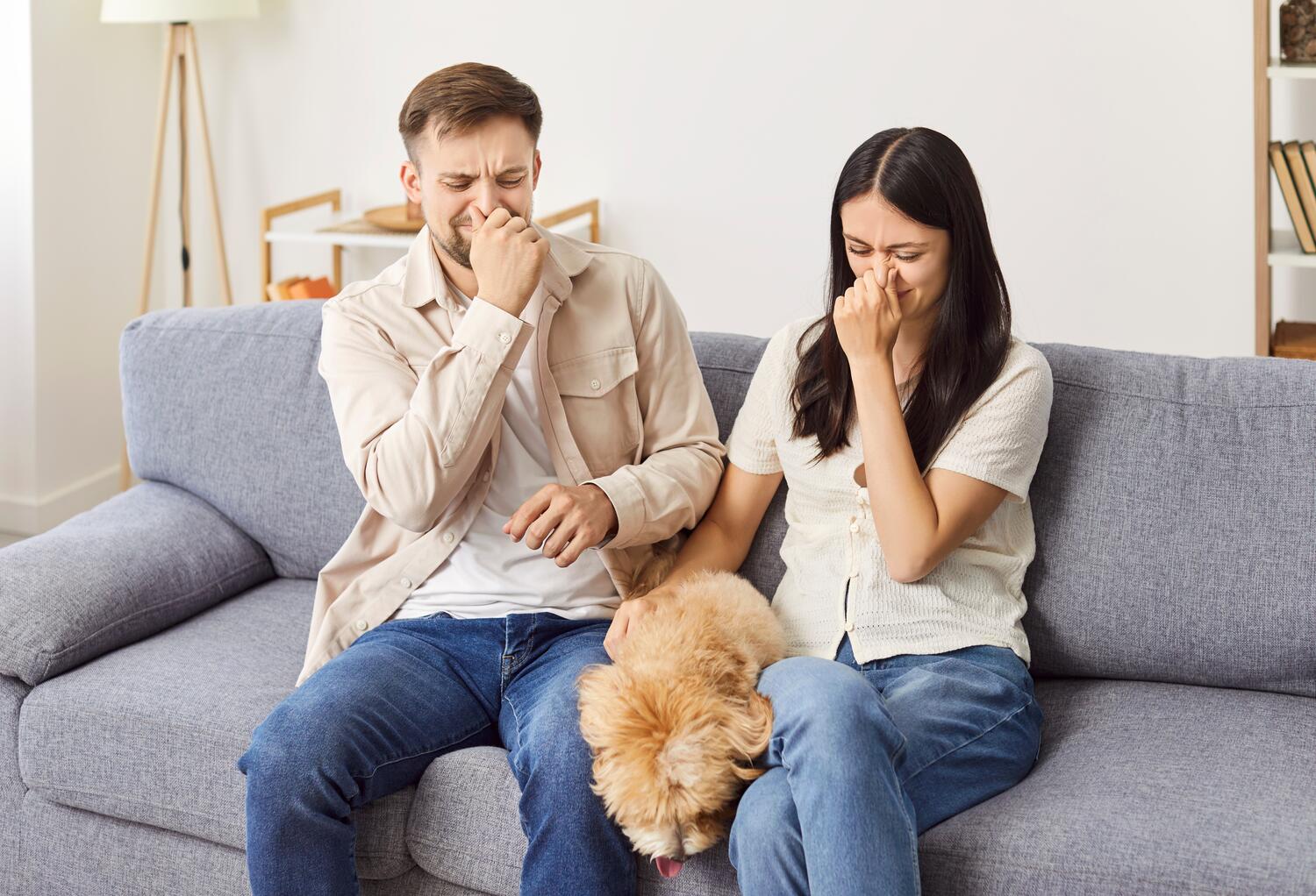 Coppia disgustata dall'odore emesso da una flatulenza del proprio cane