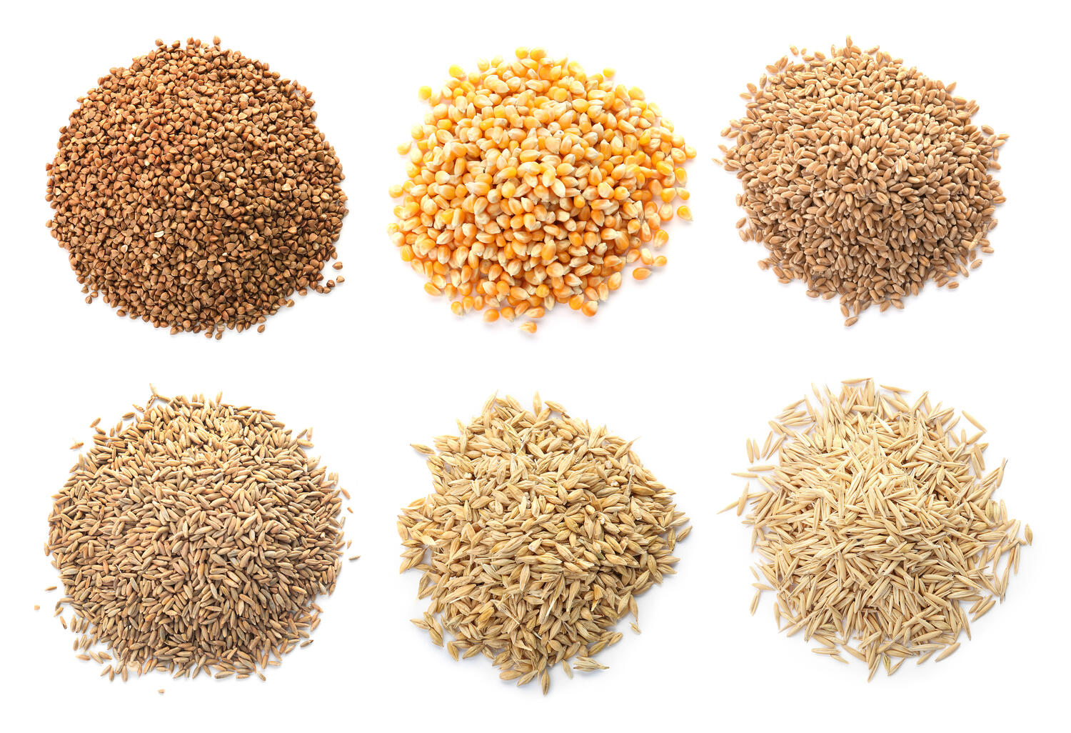 Set di 6 diversi cereali integrali in chicco